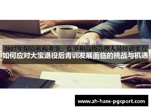如何应对大宝退役后青训发展面临的挑战与机遇