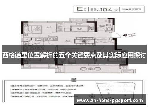 西格诺里位置解析的五个关键要点及其实际应用探讨